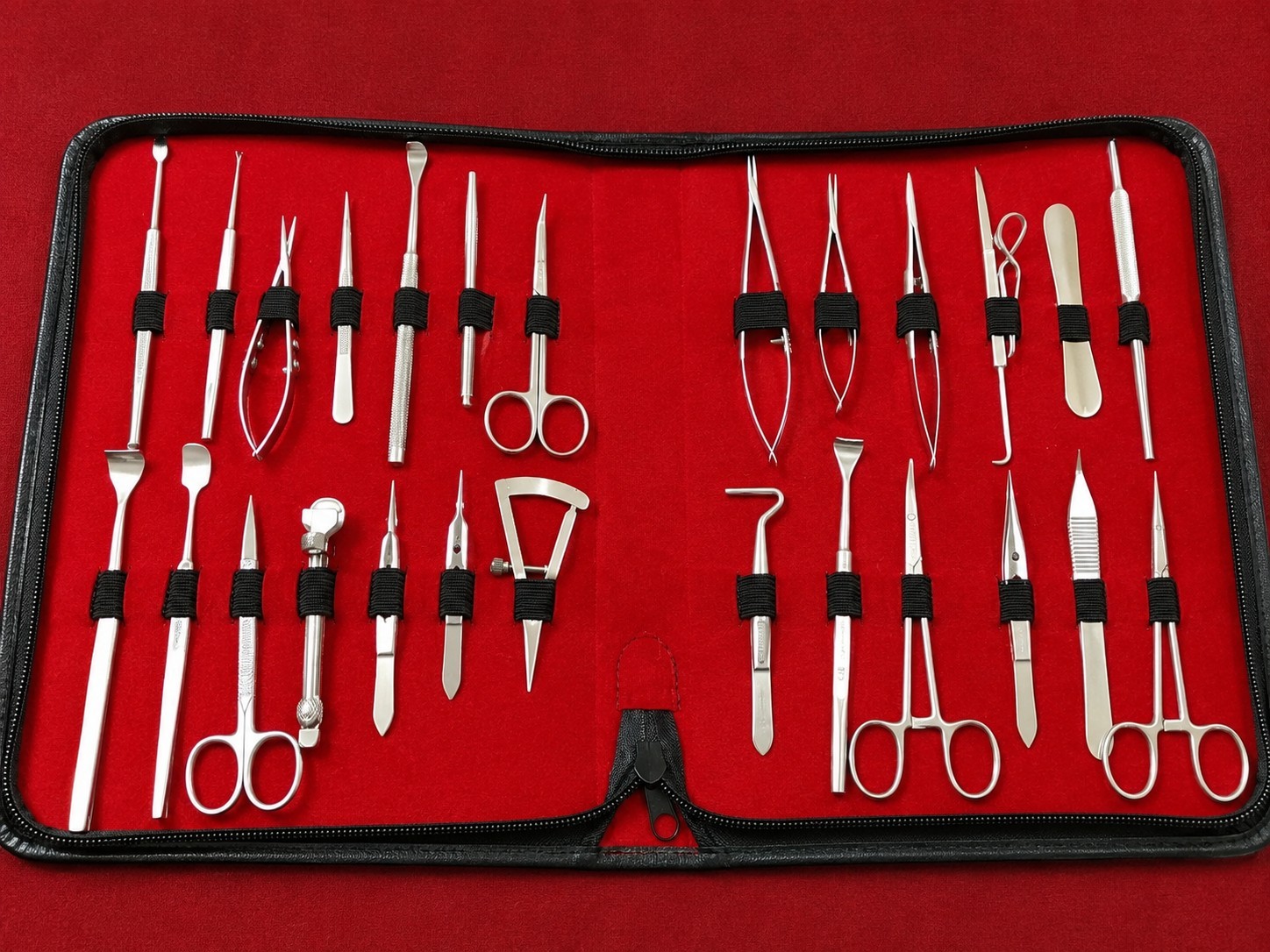Professional Surgical Dissection Kit Stainless Steel Anatomy Lab Instrument Set