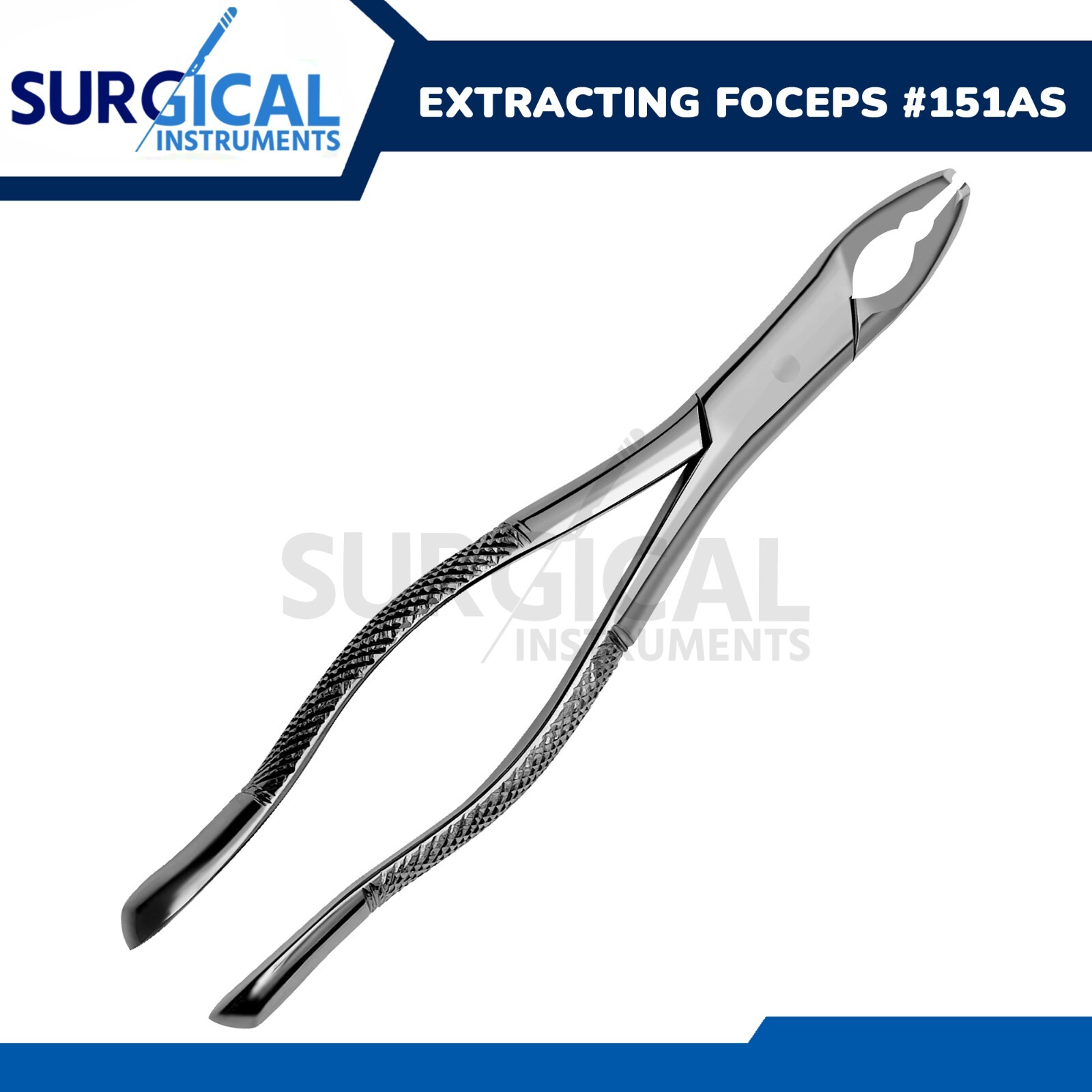 Extracting Forceps Dental Surgical Instruments 151AS Stainless German Grade