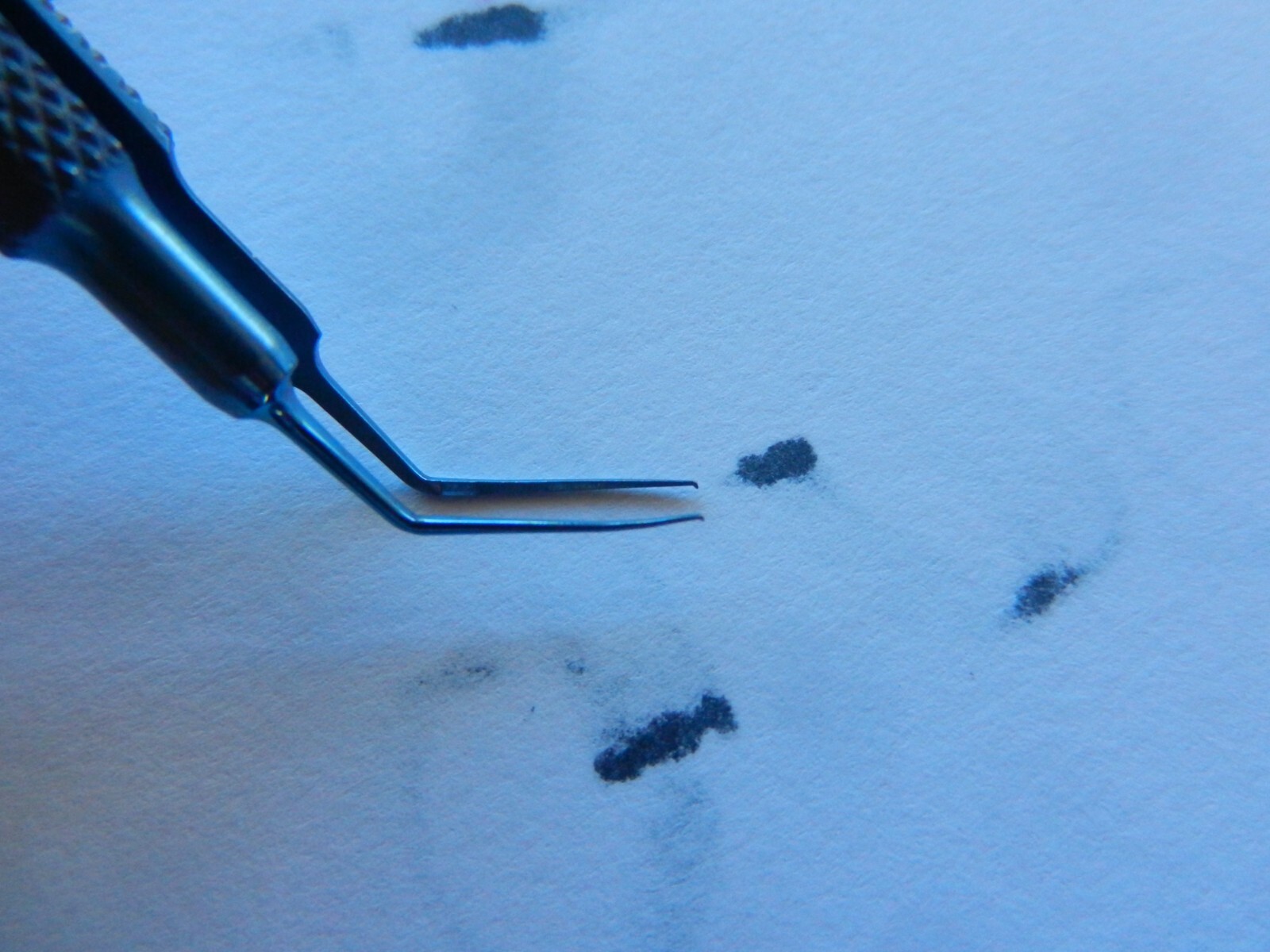 E2929 Rhein 05-2319 Utrata Capsulorhexis Forceps