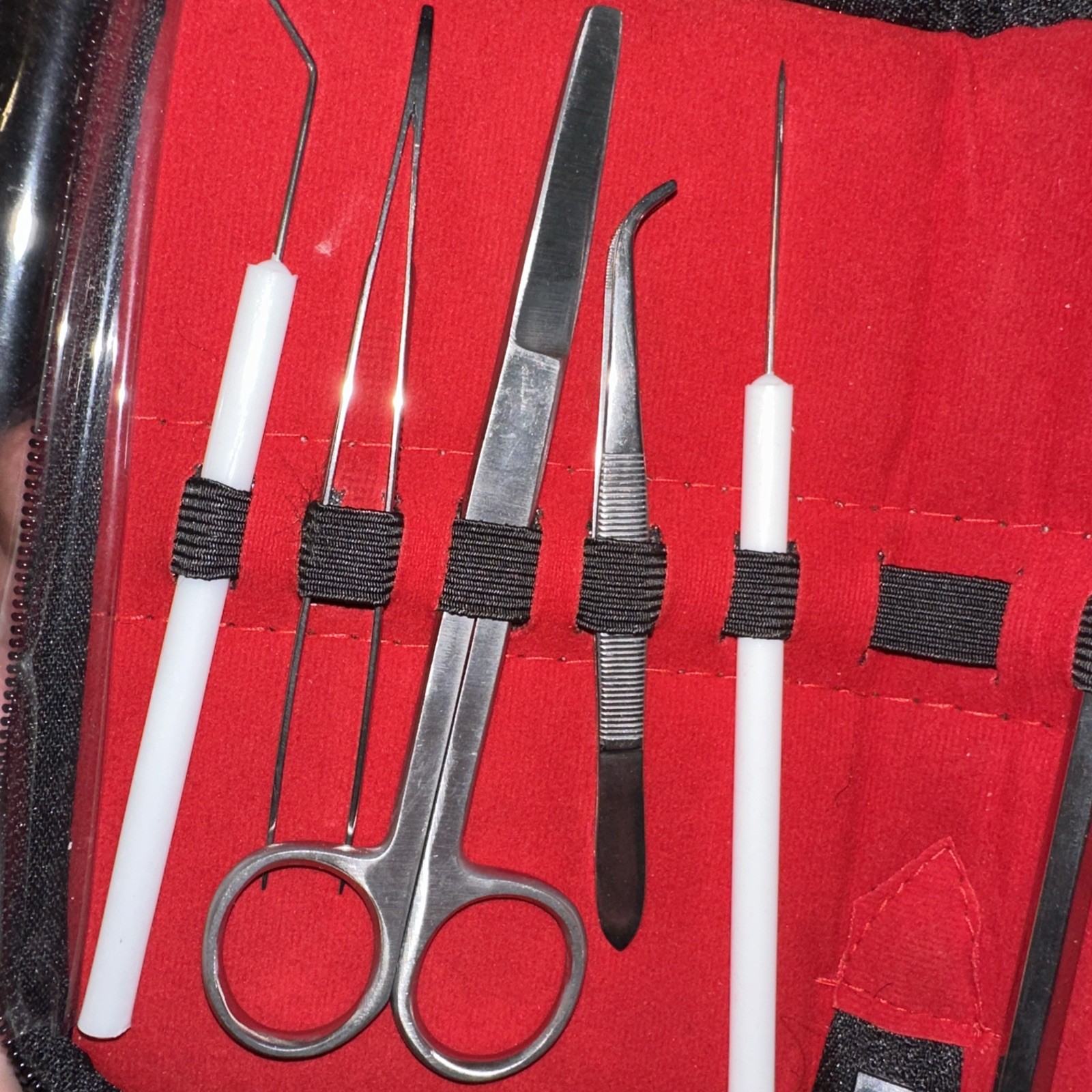 10 Pieces Set Stainless Steel Dissection Surgical Kit Set Red Case Medical Tools