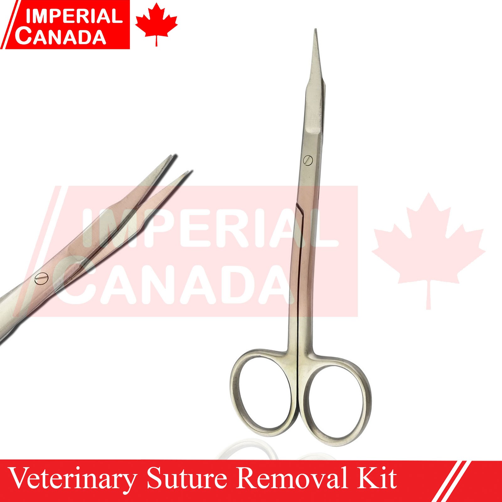 Veterinary Suture Removal Special Tray Kit Stitch Scissors Dressing Forc DS-2229