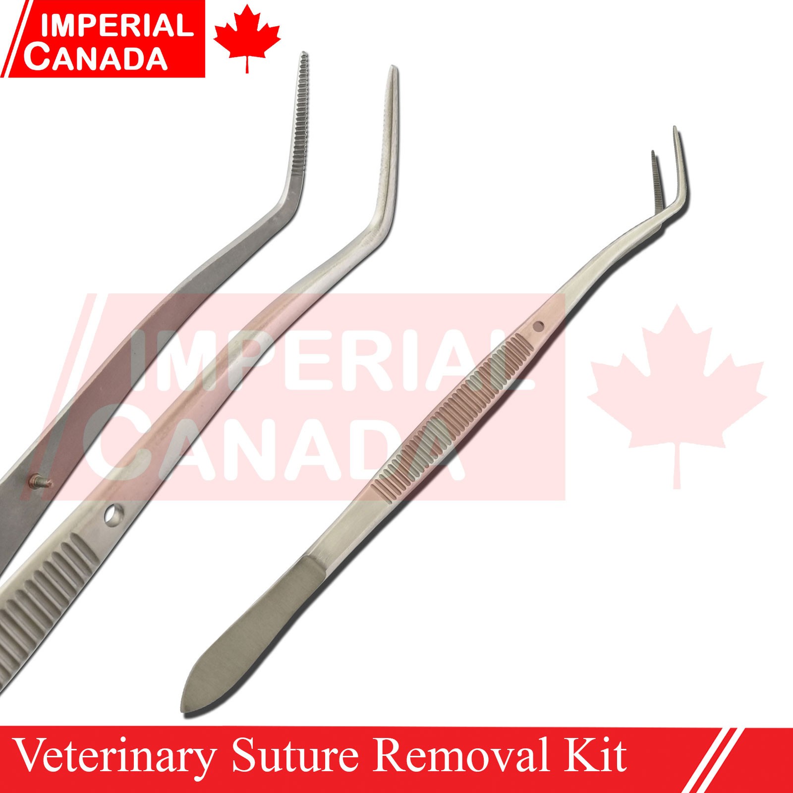 Veterinary Suture Removal Special Tray Kit Stitch Scissors Dressing Forc DS-2229