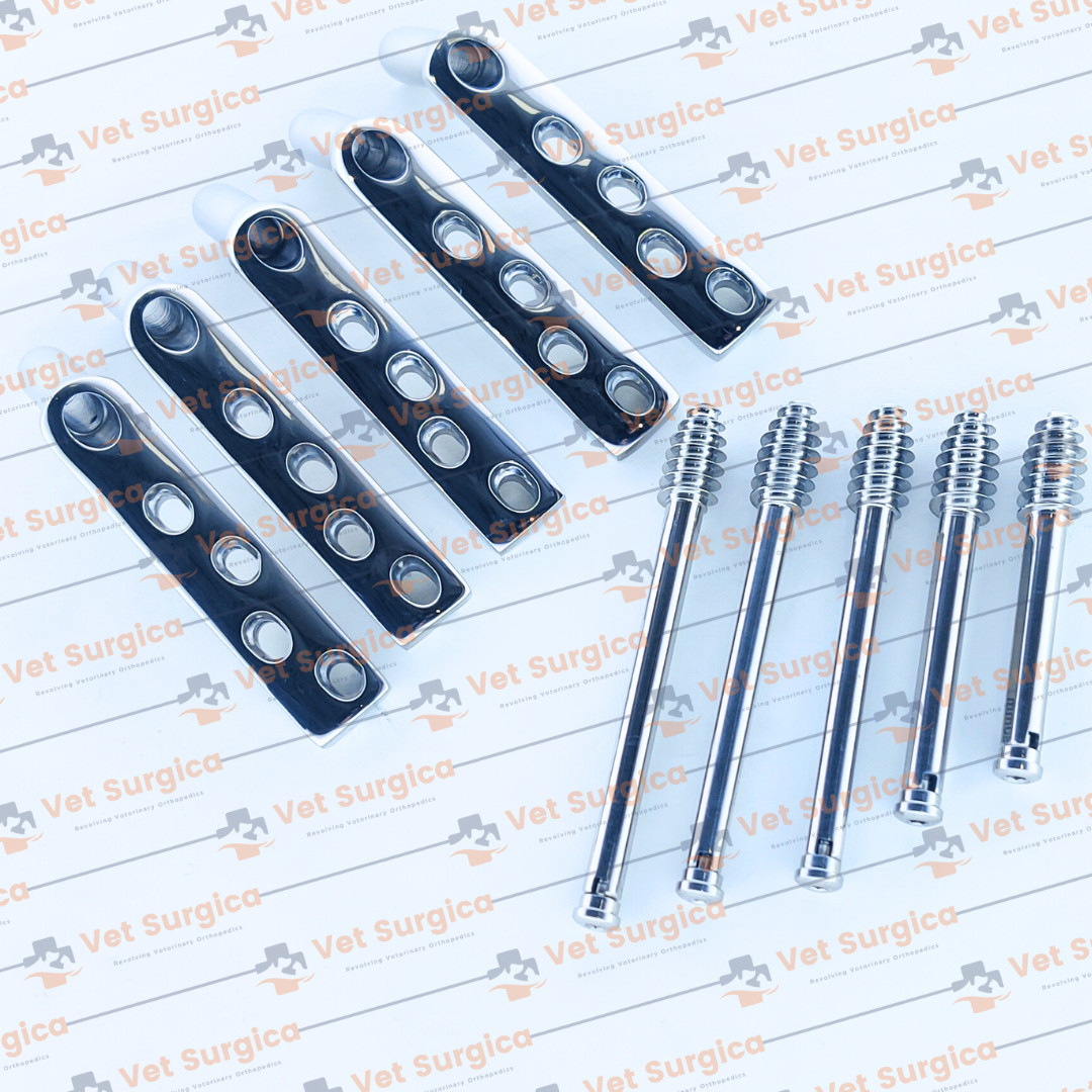 DHS 4.5mm DCP Plates 135° 4 Holes with Lag Screws 80mm to 100mm 10 Pcs Set SS