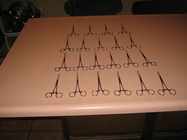 Alice Tissue Forceps From Vet Office (16 Avail) Good Condition $ 8 per forcep
