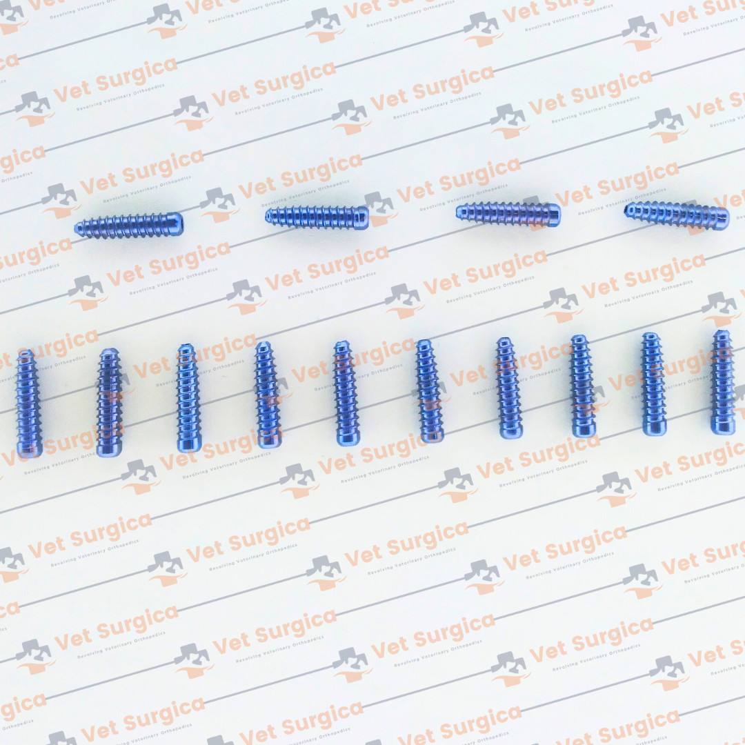 ACL (Interference) Screw Dia: 8mm Length 25 & 30mm with Screwdriver 21Pcs Set Ti