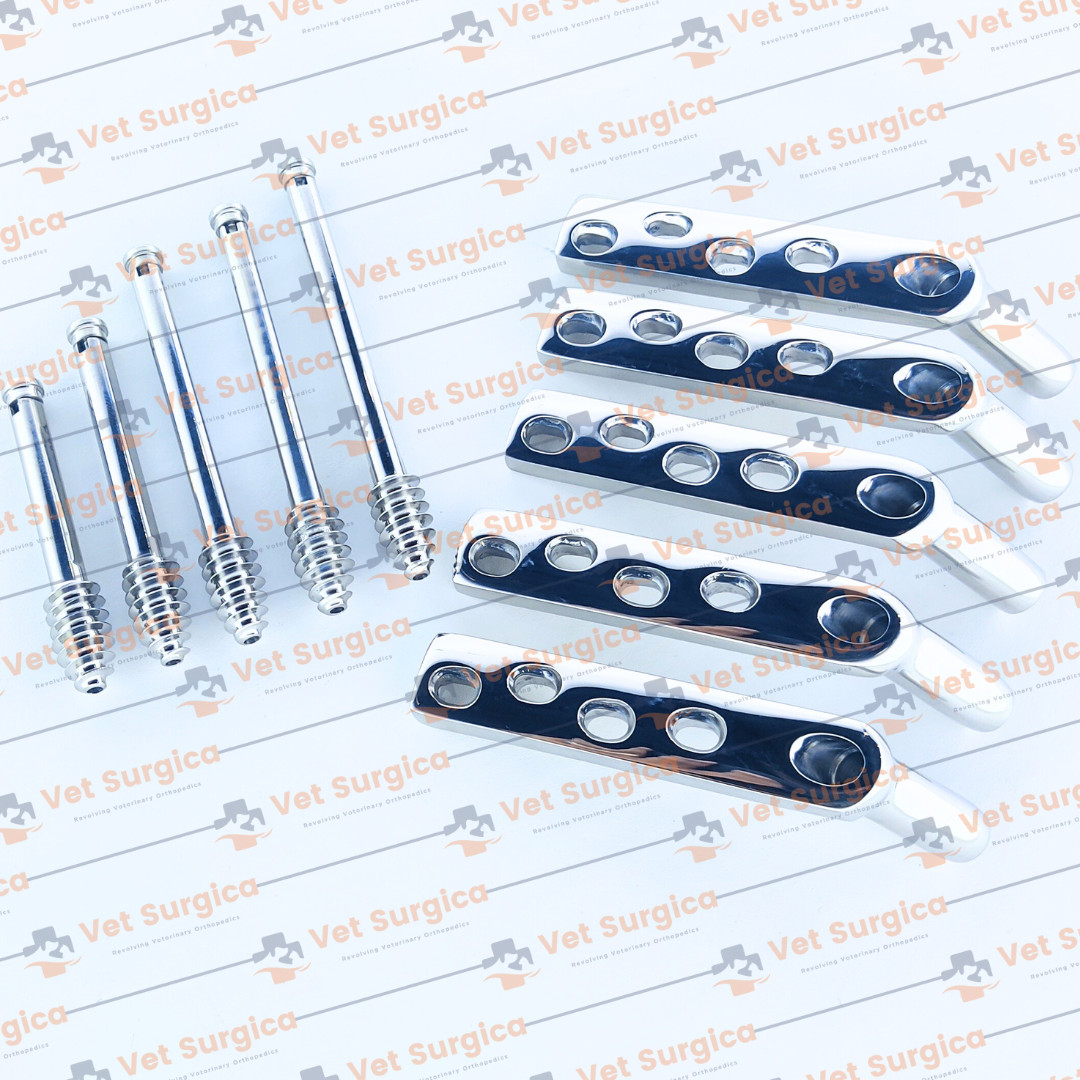 DHS 4.5mm DCP Plates 135° 4 Holes with Lag Screws 80mm to 100mm 10 Pcs Set SS