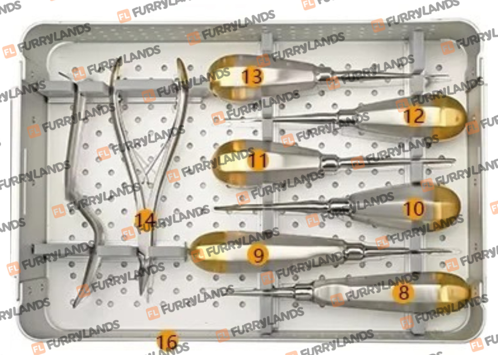 Small Animal Instrument Set Complete Oral Kit