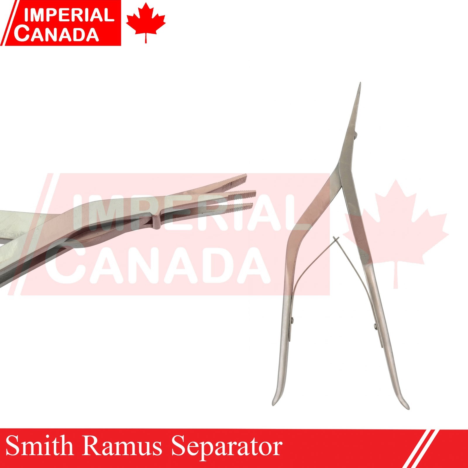 Smith Ramus Separator 9.25″ Orthopedics Surgical Instruments KLP3884