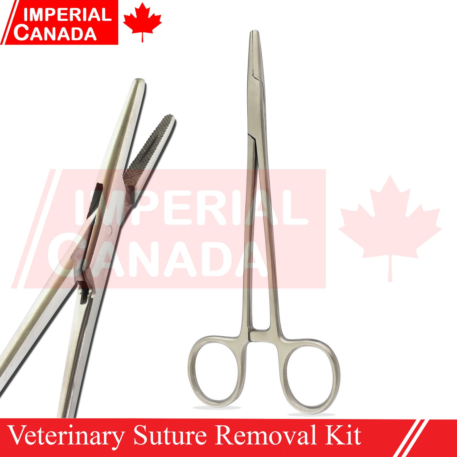 Veterinary Suture Removal Special Tray Kit Stitch Scissors Dressing Forc DS-2229