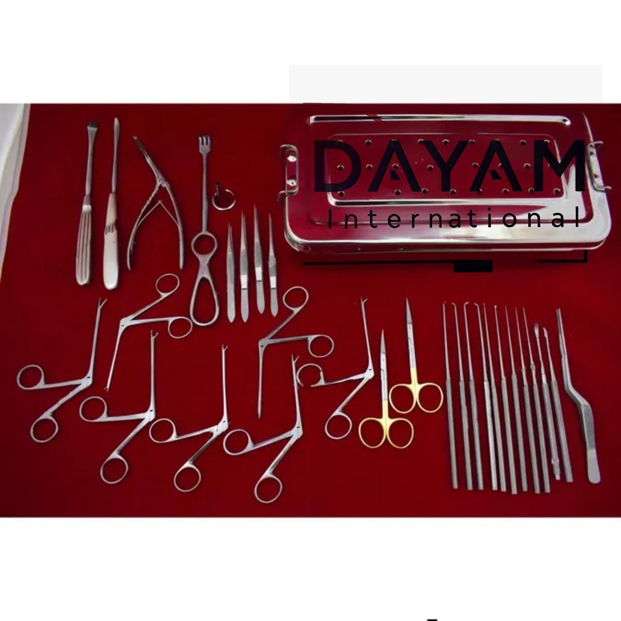 Complete 30 Piece Set of Endoscopic ENT Instruments