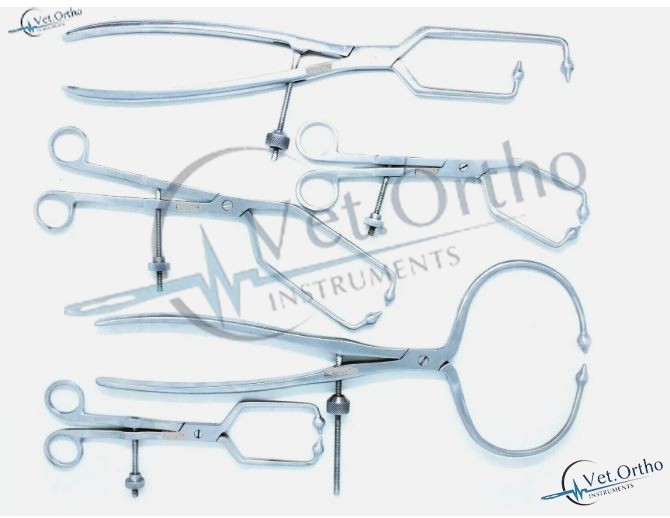 Orthopedic Pelvic Bone Reduction Bone Holding Forceps Assorted Instrument 4 Pcs