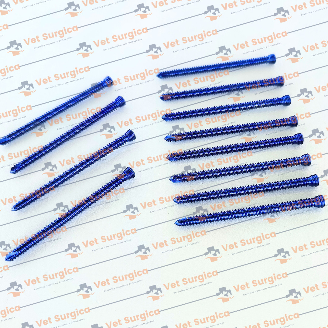 AO Safety Locking Self Tapping 3.5mm Screws 14mm to 50mm ( 95 Pcs Titanium Set