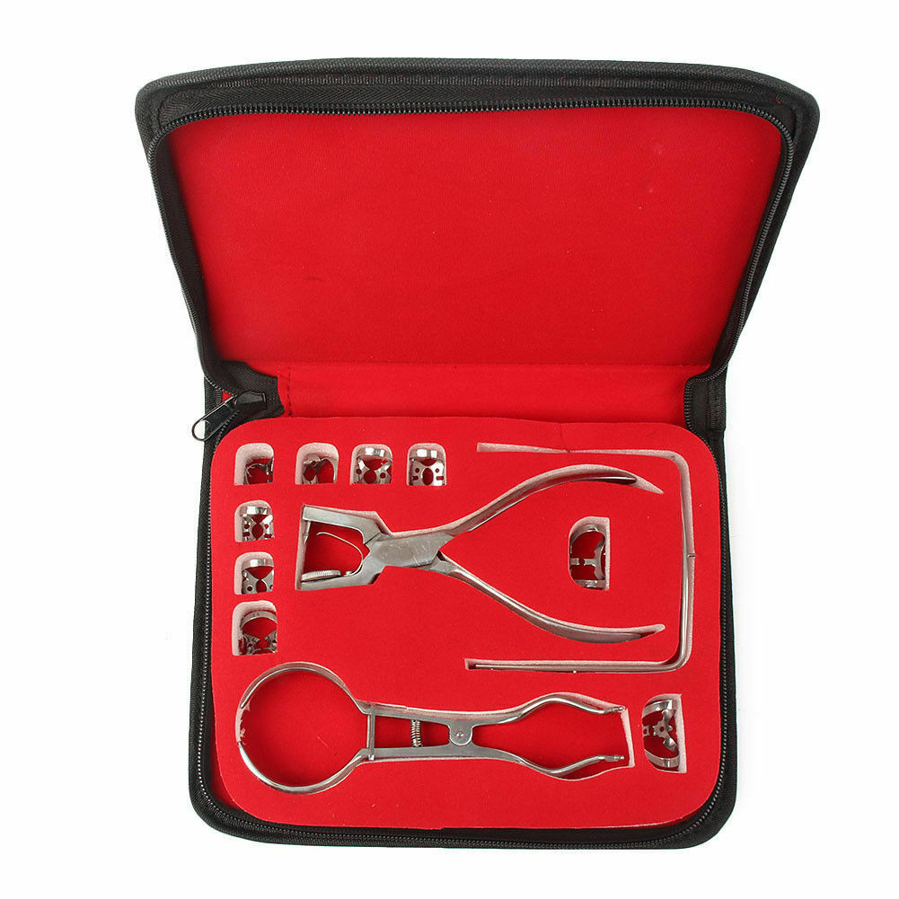 Dental 12 Pcs Basic Rubber Dam Kit Surgical Instruments Set Stainless