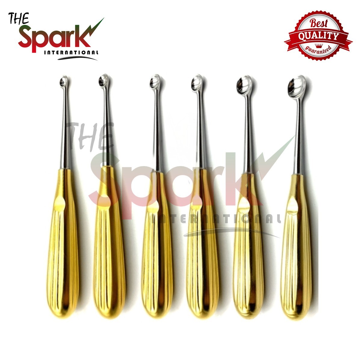 Veterinary 2.7mm Locking Straight Plates and Hole & Screws Surgical Instruments
