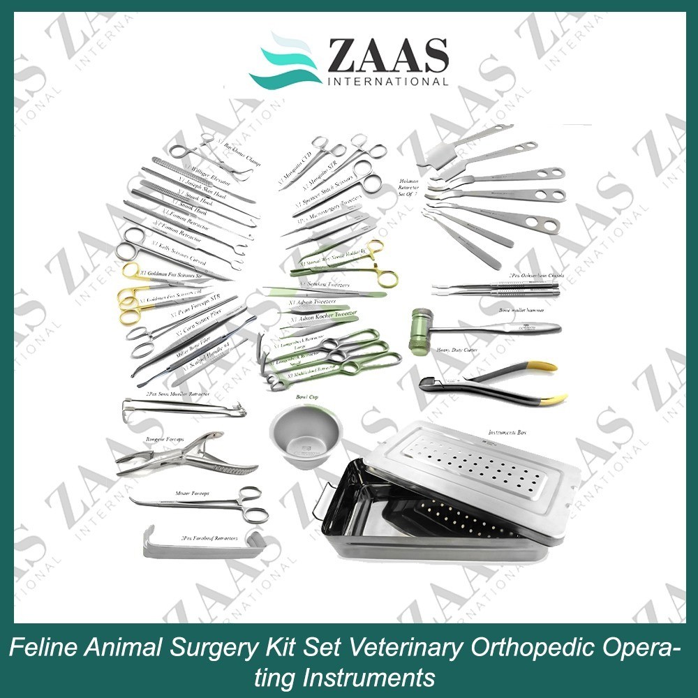 Feline Animal Surgery Kit Set Veterinary Orthopedic Operating Instruments