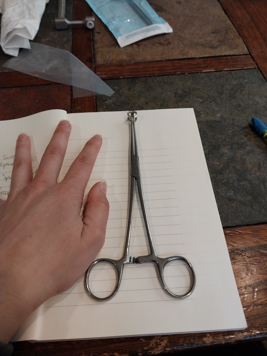 Crown Babcock Intestinal Forceps