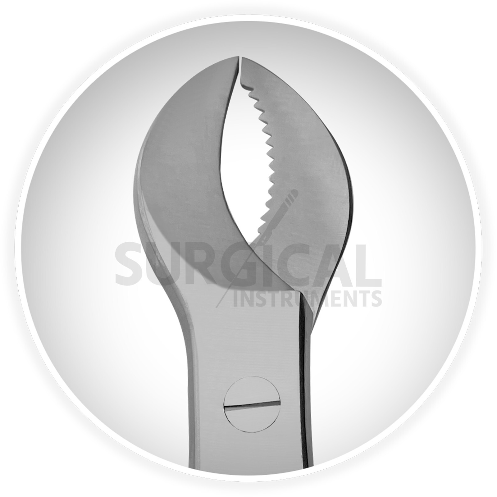 2 Pcs Cow Horn Plaster Nipper Surgical Dental Instruments Stainless German Grade