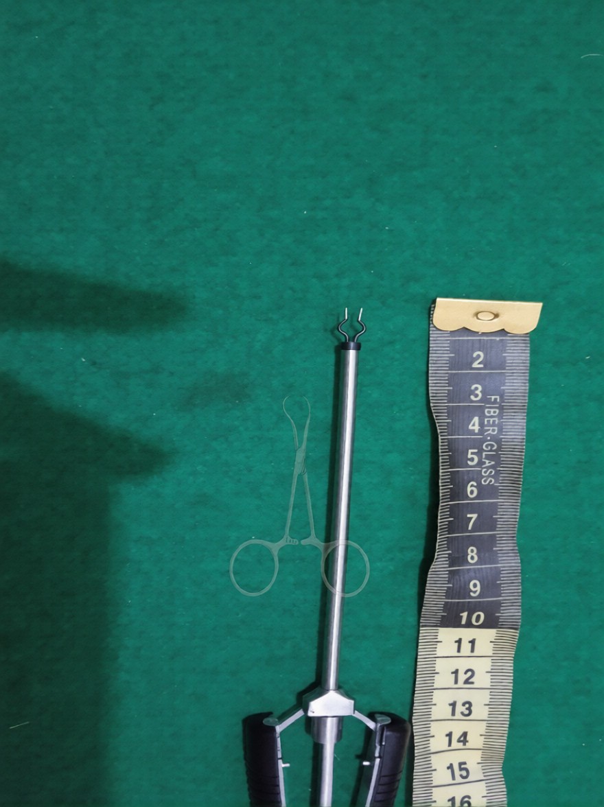 Bipolar Surgical Pincer – Designed for Transsphenoidal Pituitary Tumor Surgery