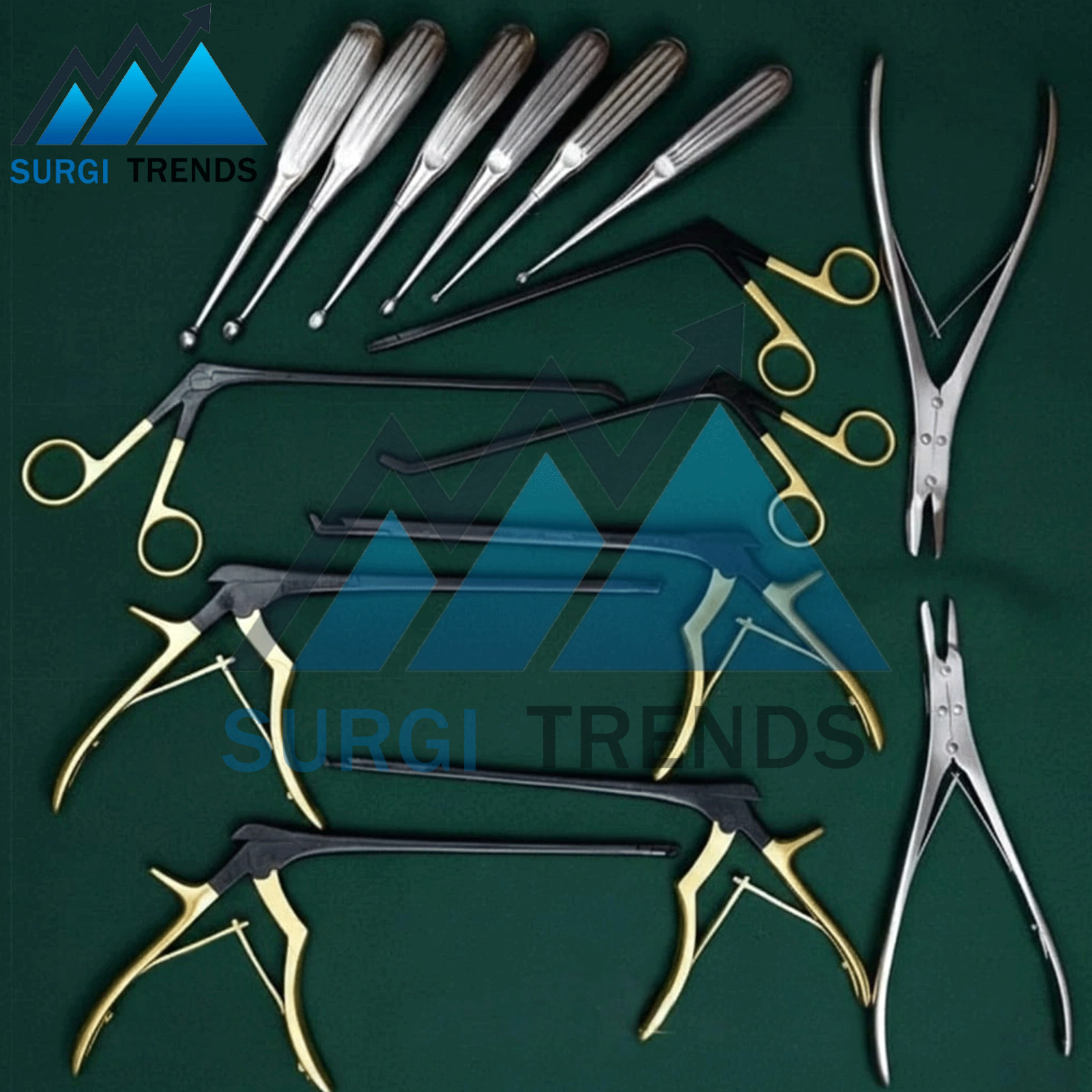 Kerrison Rongeurs Bone Curette Set Of 15 Pcs Surgical Orthopedic Instruments