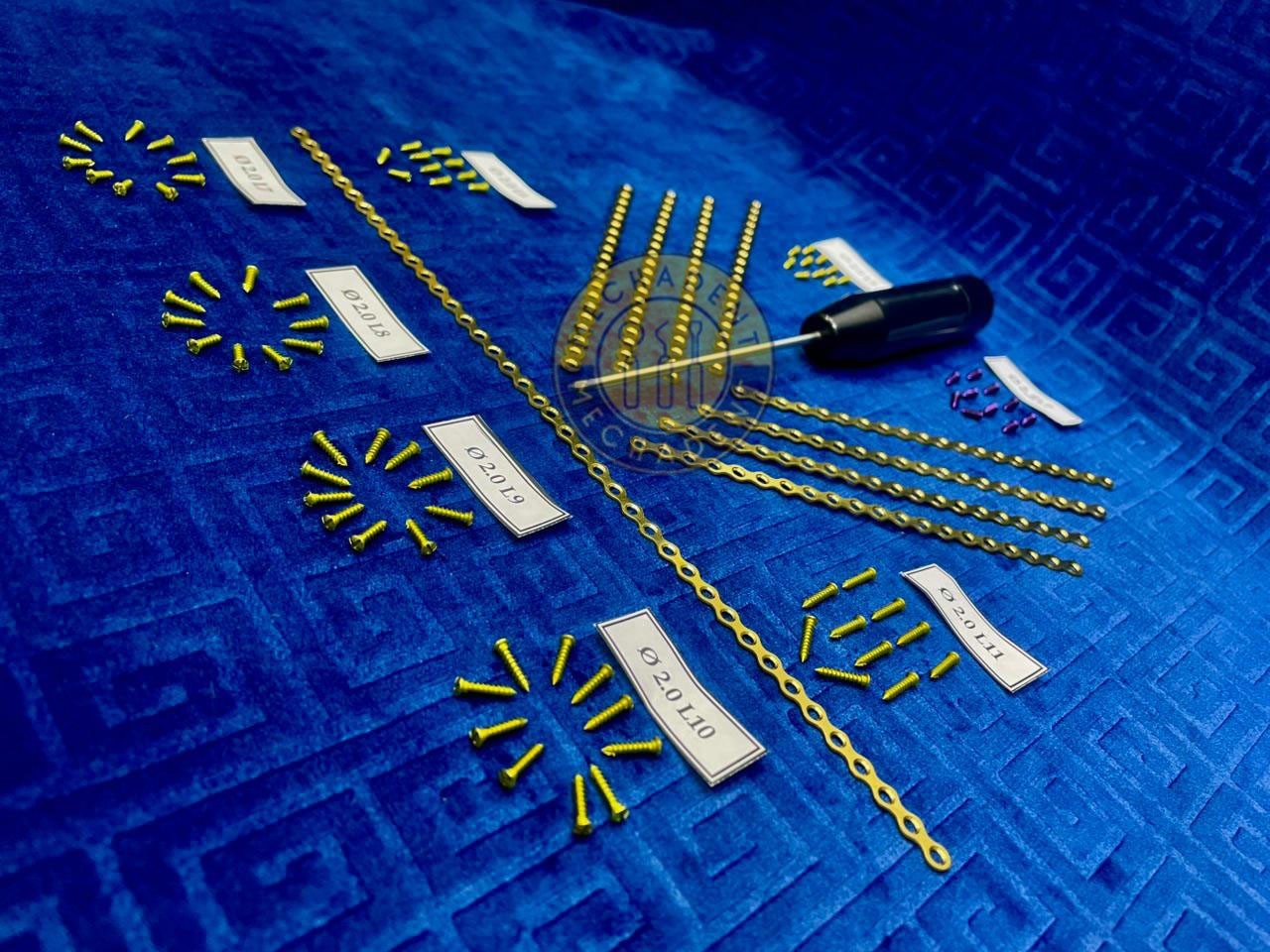 Maxillofacial 10 Pcs 2 mm Mini Plates 80 Pcs Titanium Screws & Screw Driver Set