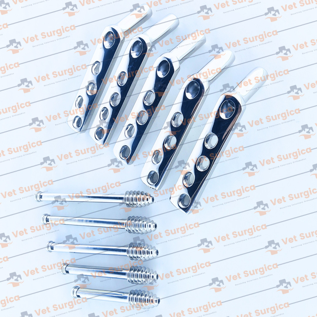 DHS 4.5mm DCP Plates 135° 4 Holes with Lag Screws 80mm to 100mm 10 Pcs Set SS