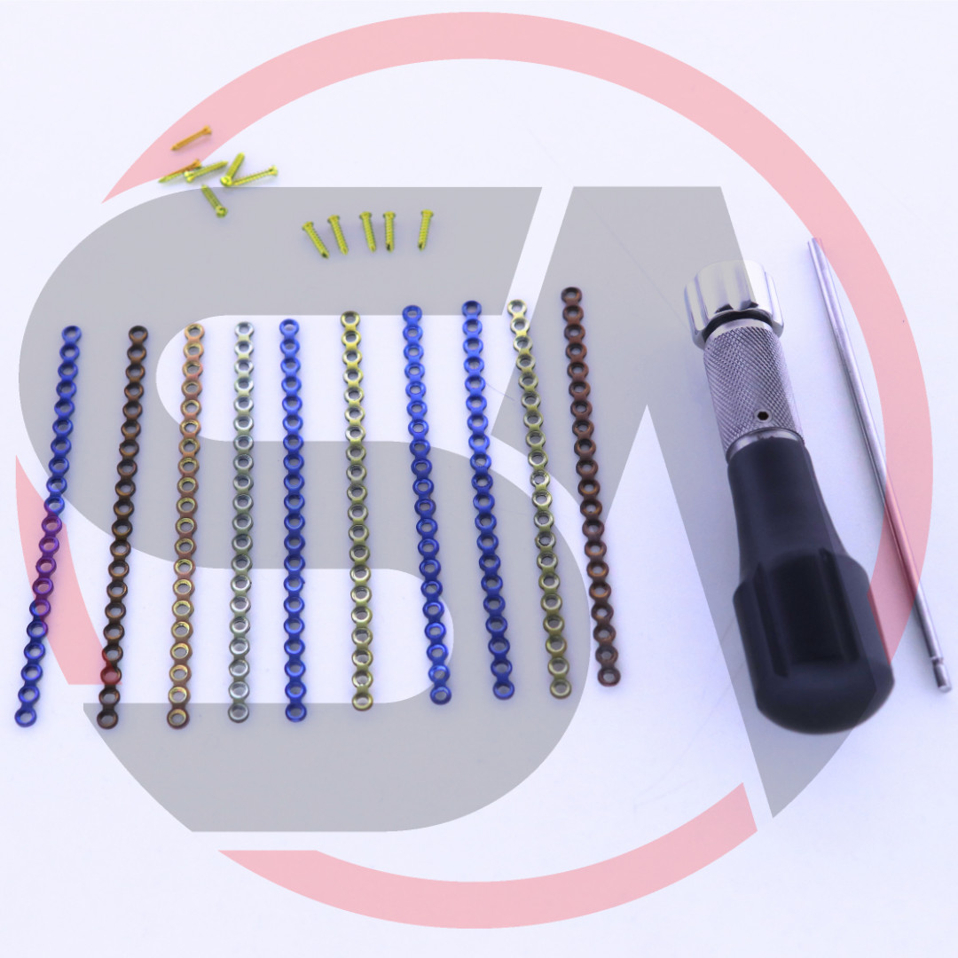 Maxillofacial 2.0mm Straight Plates 20 Holes with Crosshead Screws 91 Pcs Set Ti