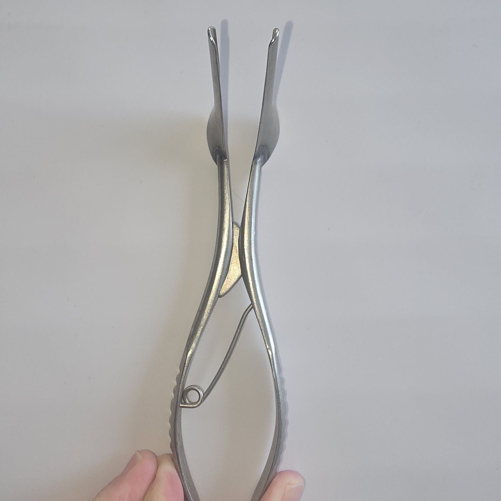 Storz N2181 Nasal Septum Speculum