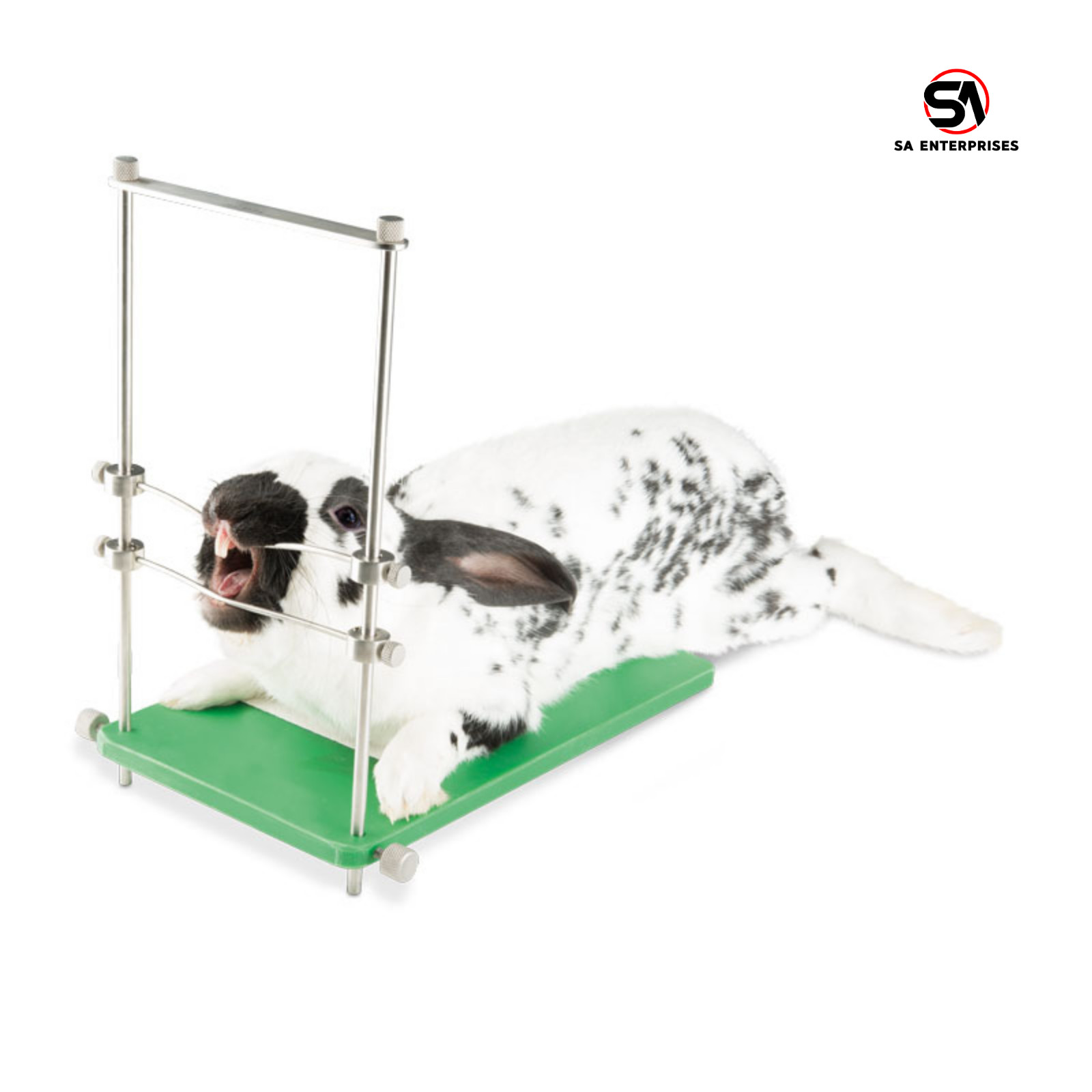 Veterinary Rodent Table Top Rabbit Mouth Gag Speculum Surgical Instrument System