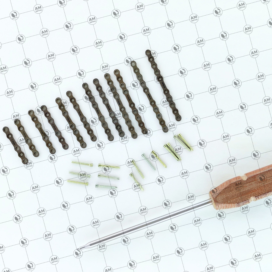 2.0mm Ṽeterinary Straight Plates 5-10 Holes with Locking Screws 83 Pcs Set Ti