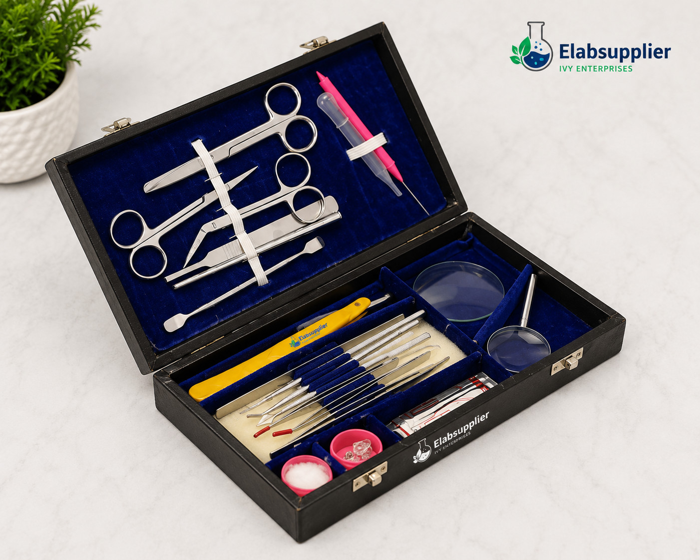 Biology Dissection BOX Kit Student Lab Anatomy Surgical Instruments Set Case