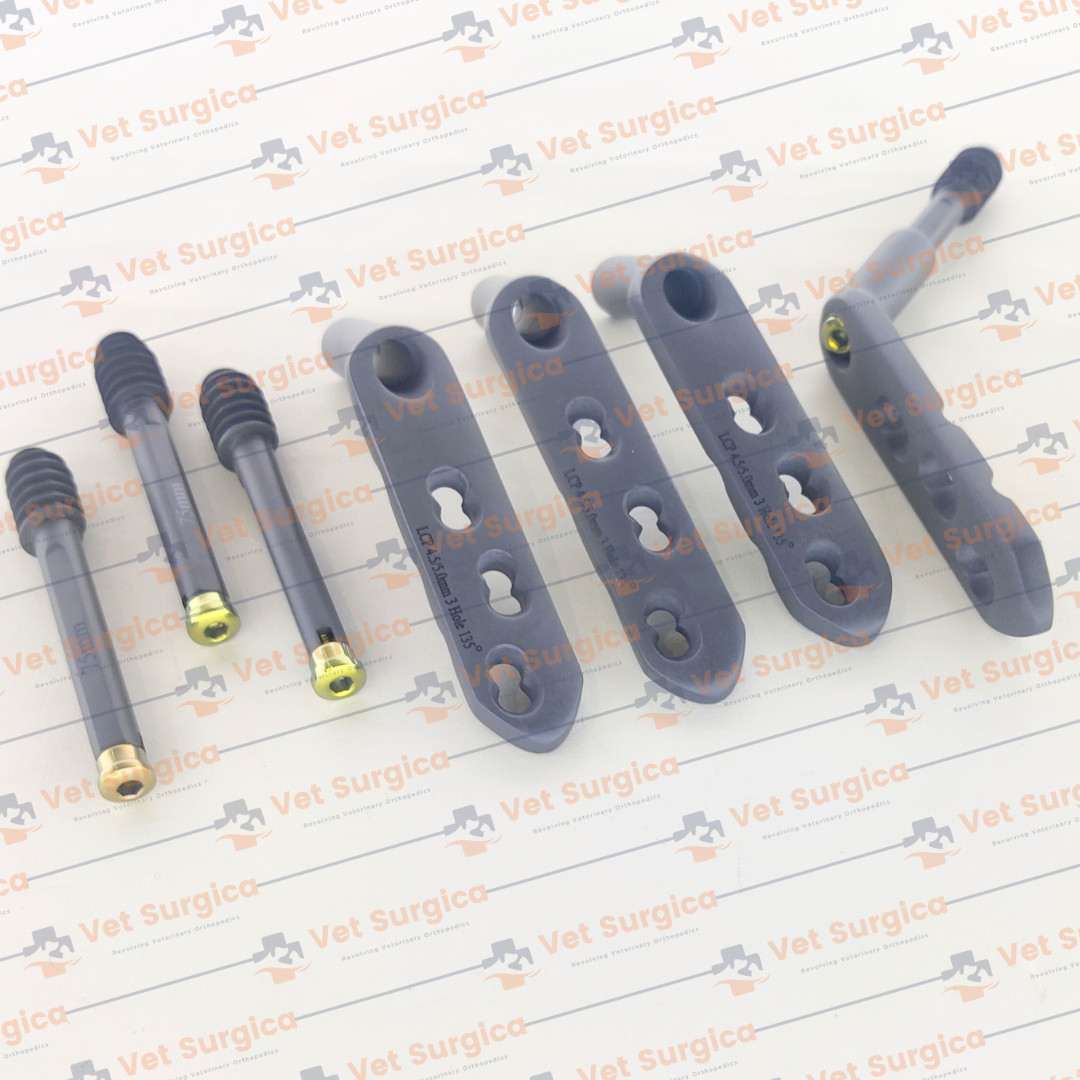DHS 4.5/5.0mm Safety Locking Plate 3 Hole with Leg Screw 80 to 95mm 8 Pcs Set Ti
