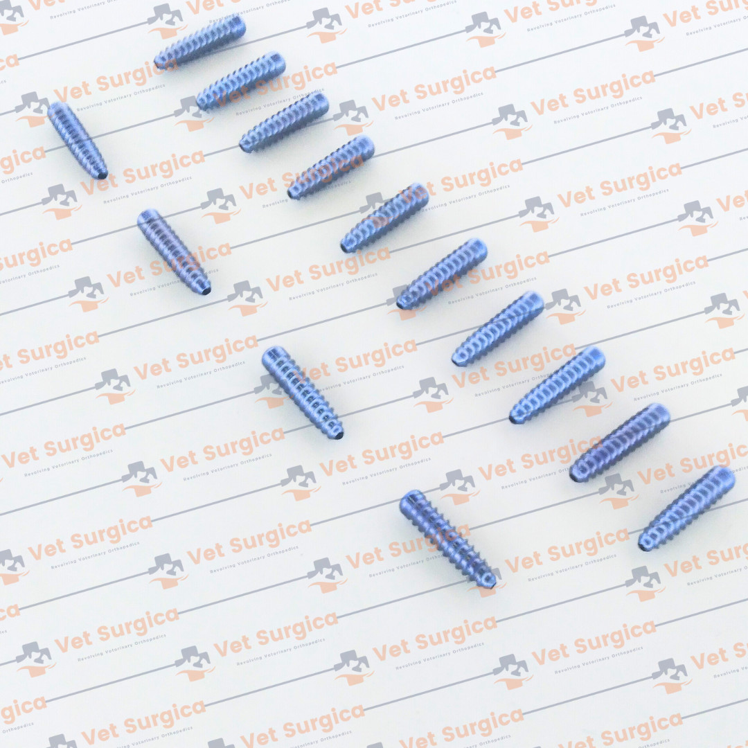 ACL (Interference) Screw Dia: 8mm Length 25 & 30mm with Screwdriver 21Pcs Set Ti