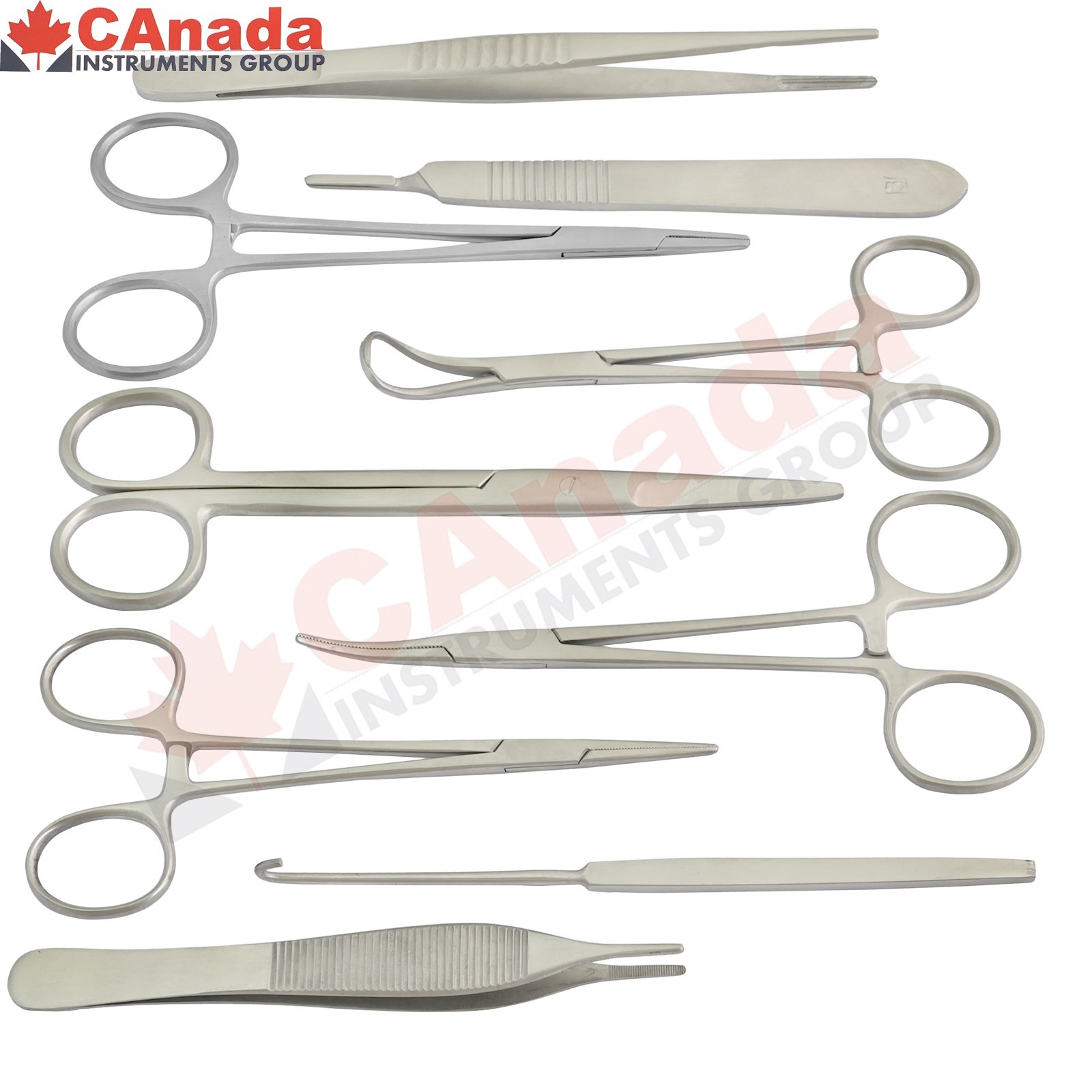 Feline Surgical Instruments Cat Bitch Spay Ovariectomy Ovaries Removal Set