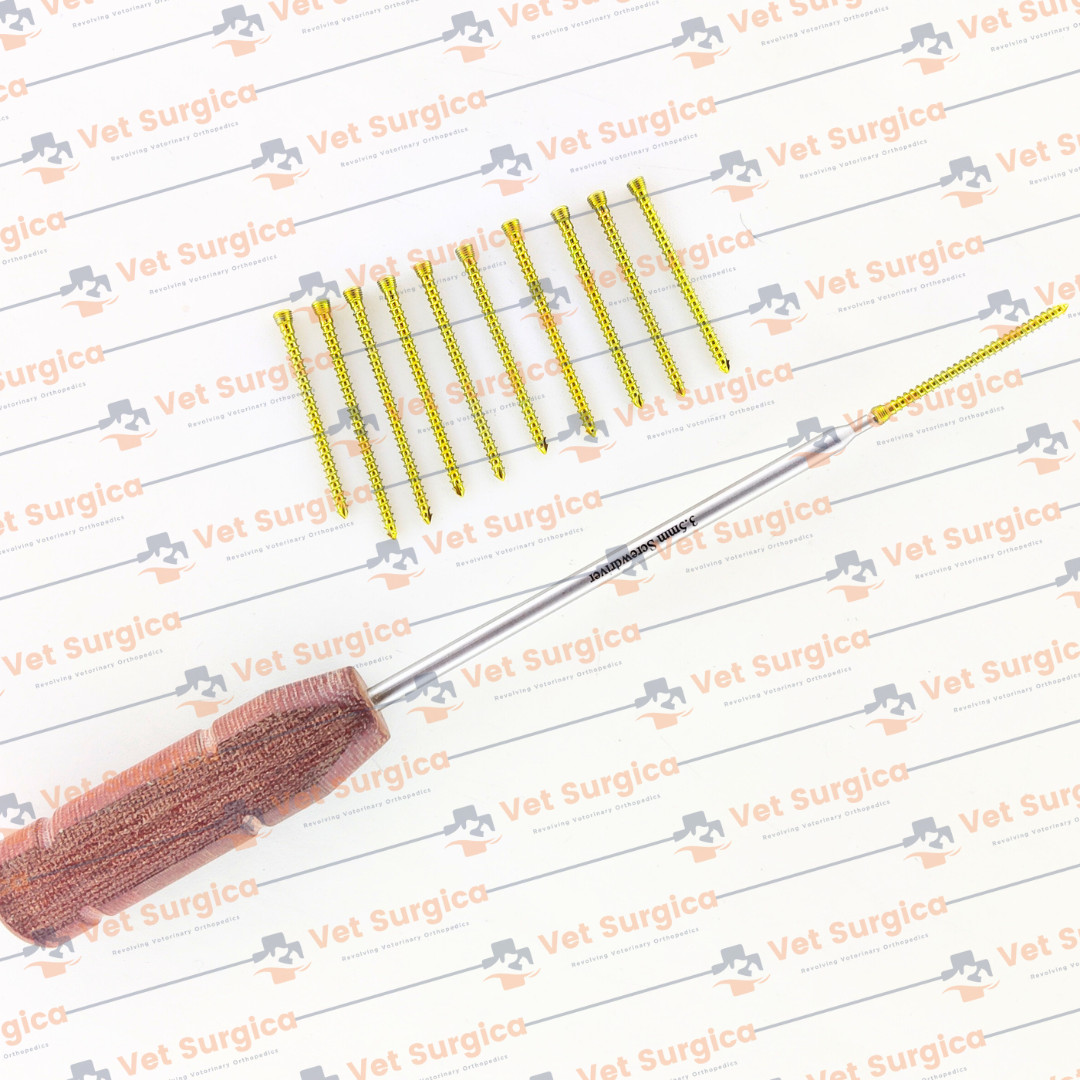 3.5mm cancellers Safety Locking Self Taping Screw 14-40mm Titanium 141 Pcs Set