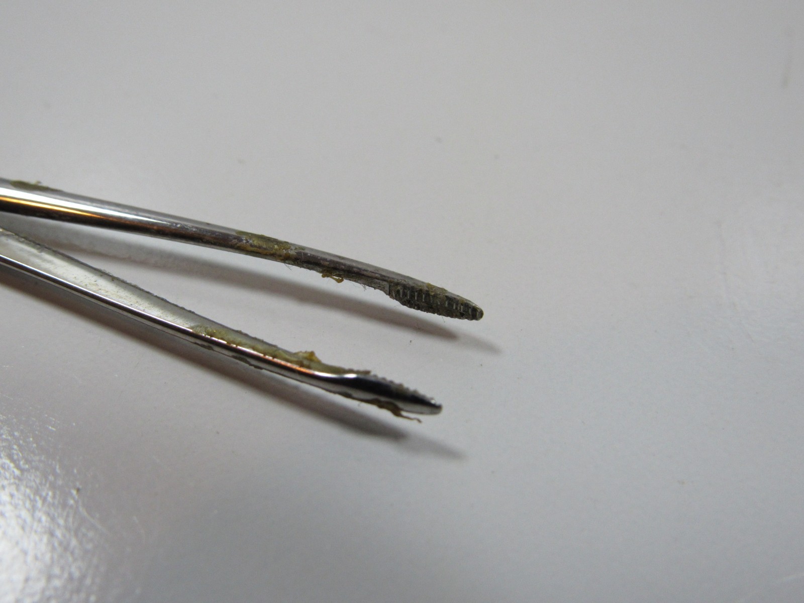 Jarit Germany Stainless Steel Germany Surgical Alligator Forceps #ML-15