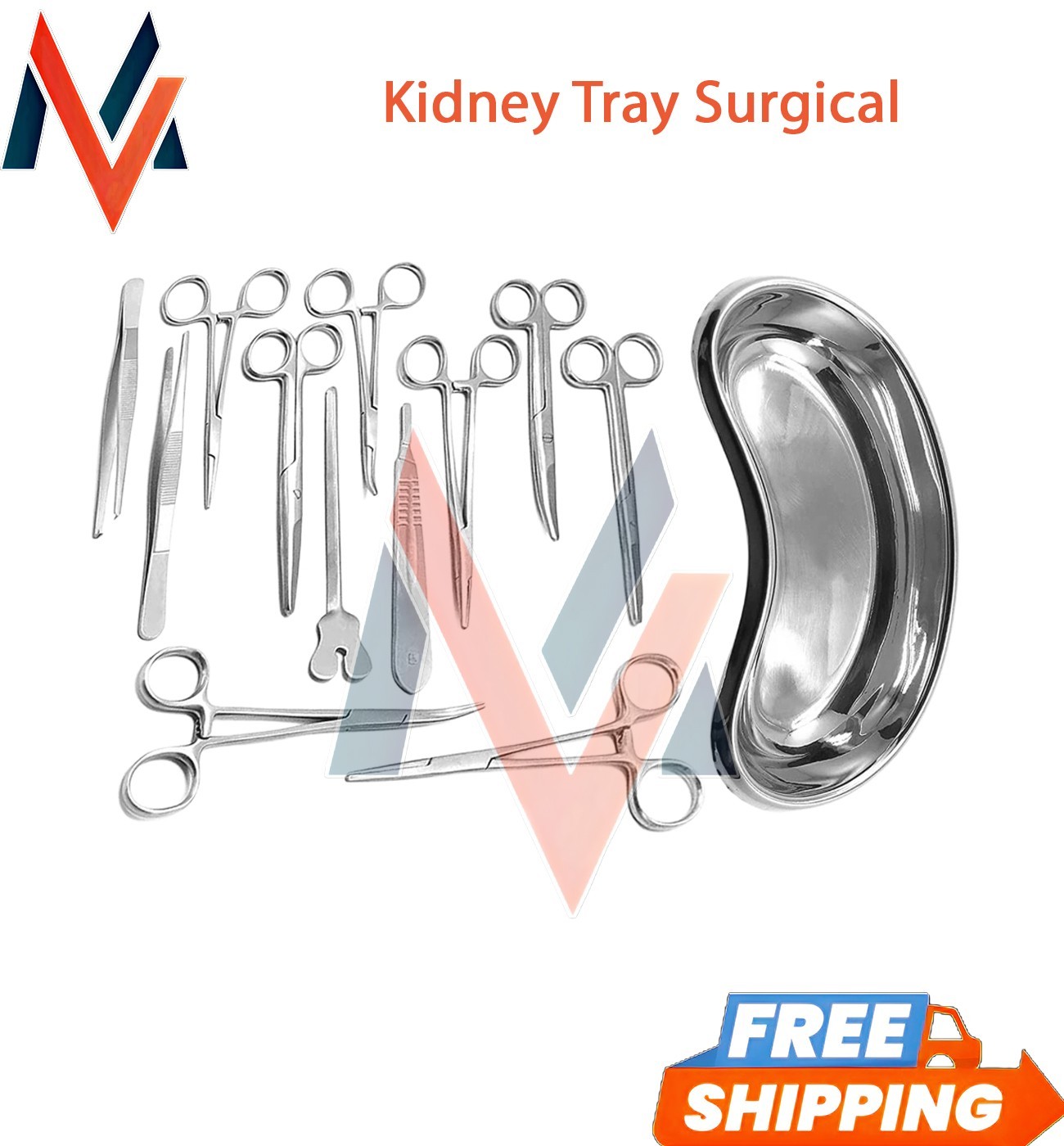Set of 13 Pieces Basic Minor Surgery Kit Steel Kidney Tray Surgical Instruments