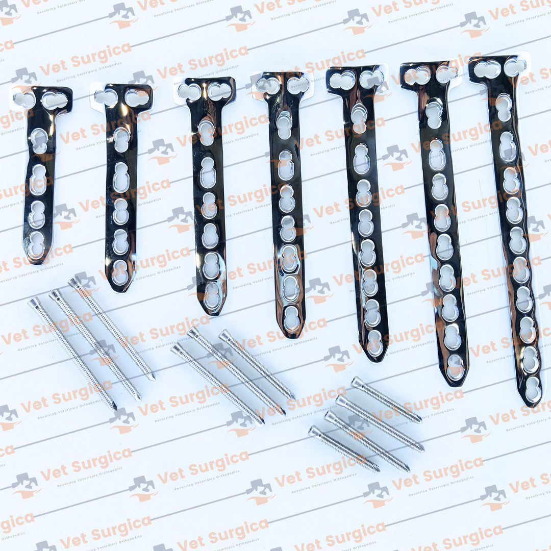 4.5/5.0mm Safety Locking T Butters Plates 4H-10holes With Screw 118Pcs Set SS