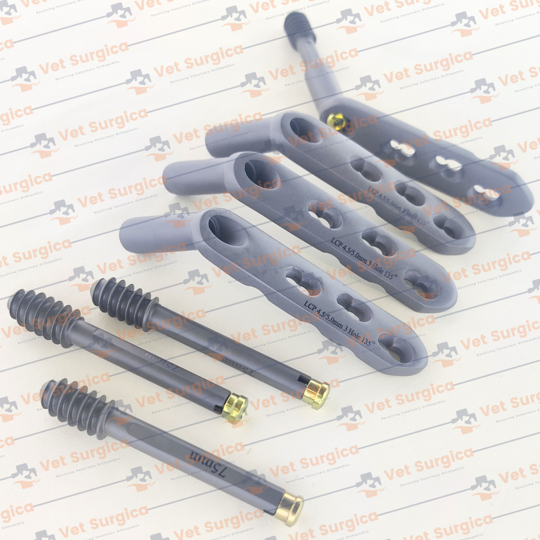 DHS 4.5/5.0mm Safety Locking Plate 3 Hole with Leg Screw 80 to 95mm 8 Pcs Set Ti
