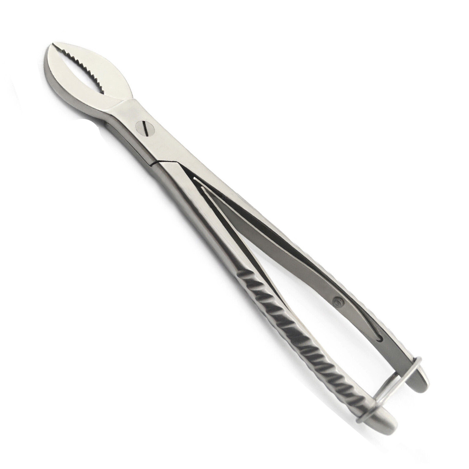 Cow Horn Plaster Nipper Surgical Dental Instruments
