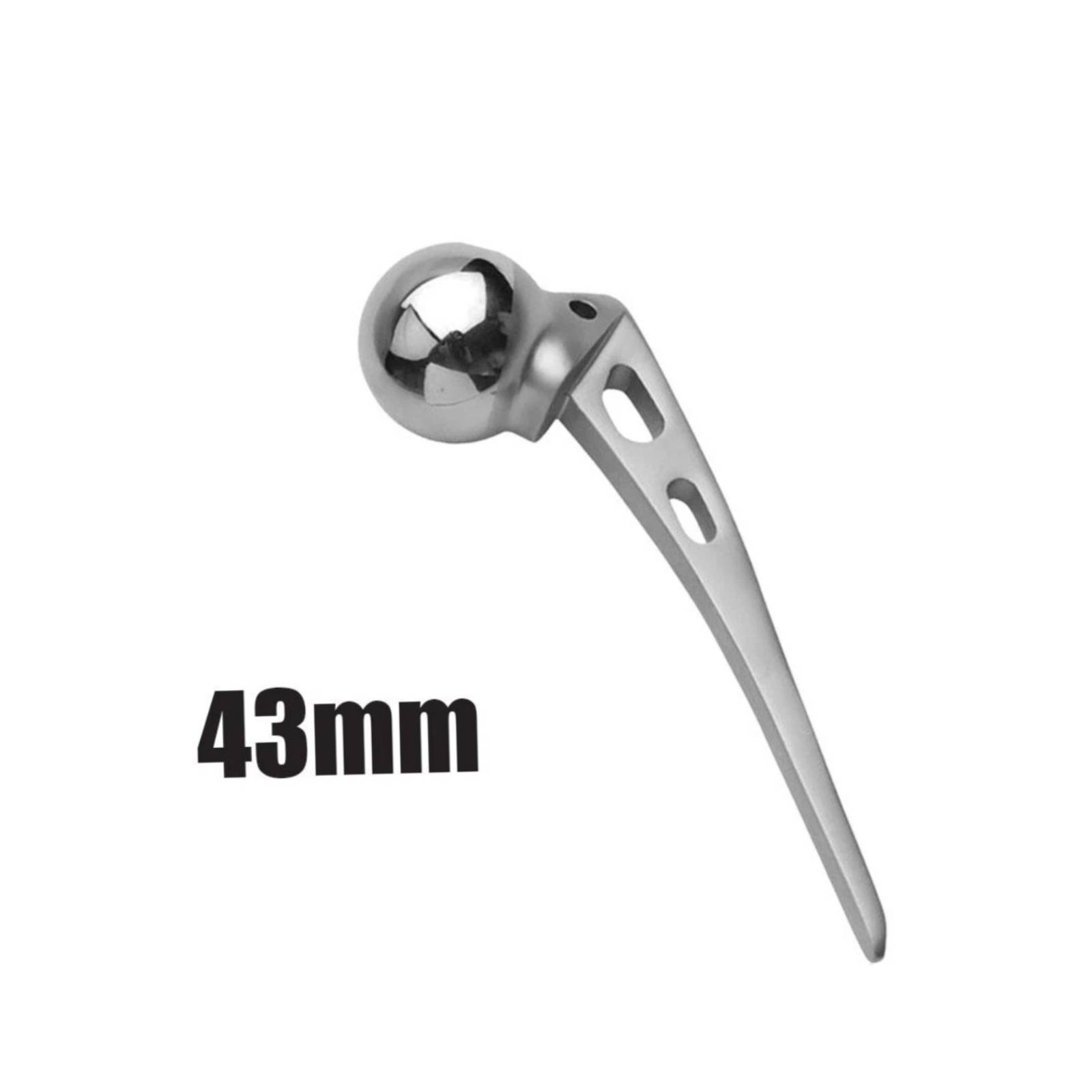 AMP Hip Prosthesis 43mm Orthopedic Instruments