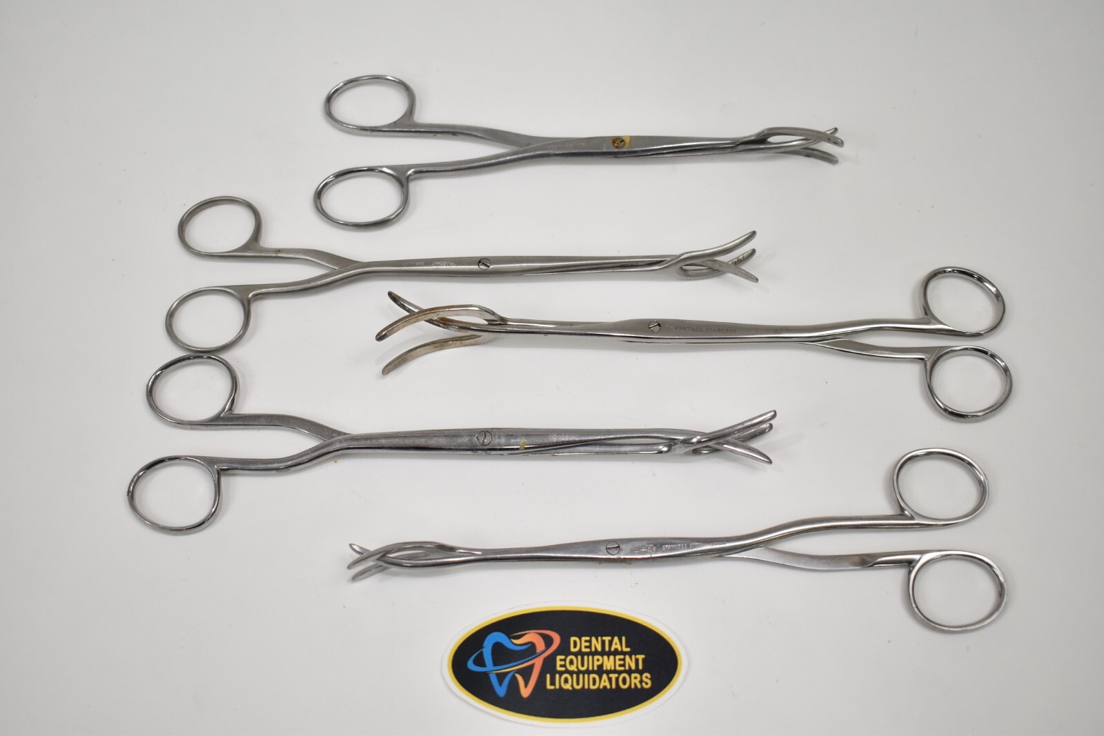 Set of 5 Universal Surgical Sterilizing Forceps Straight Stainless Steel