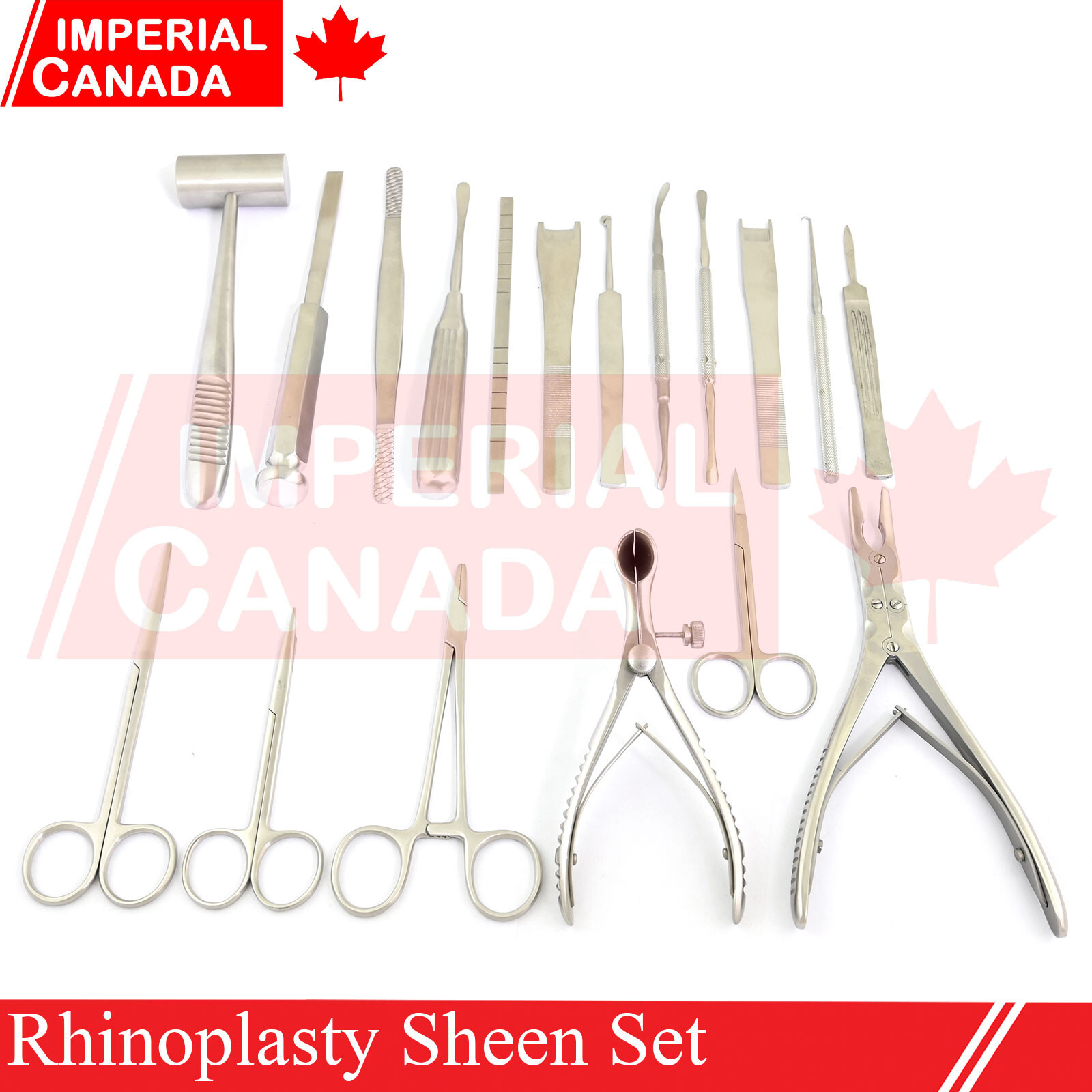 20 Pcs Rhinoplasty Sheen Set ENT Nasal Surgery Set ENT Septoplasty Tools DS-1680