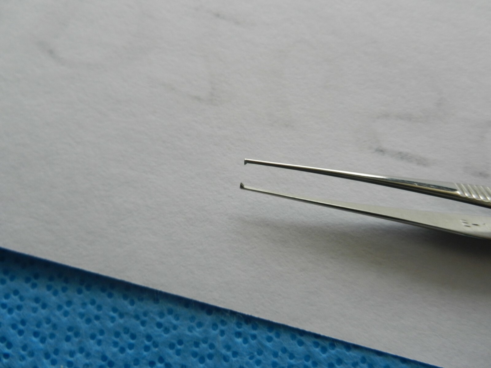 D2054 Storz Surgical Tissue Forceps E-1420
