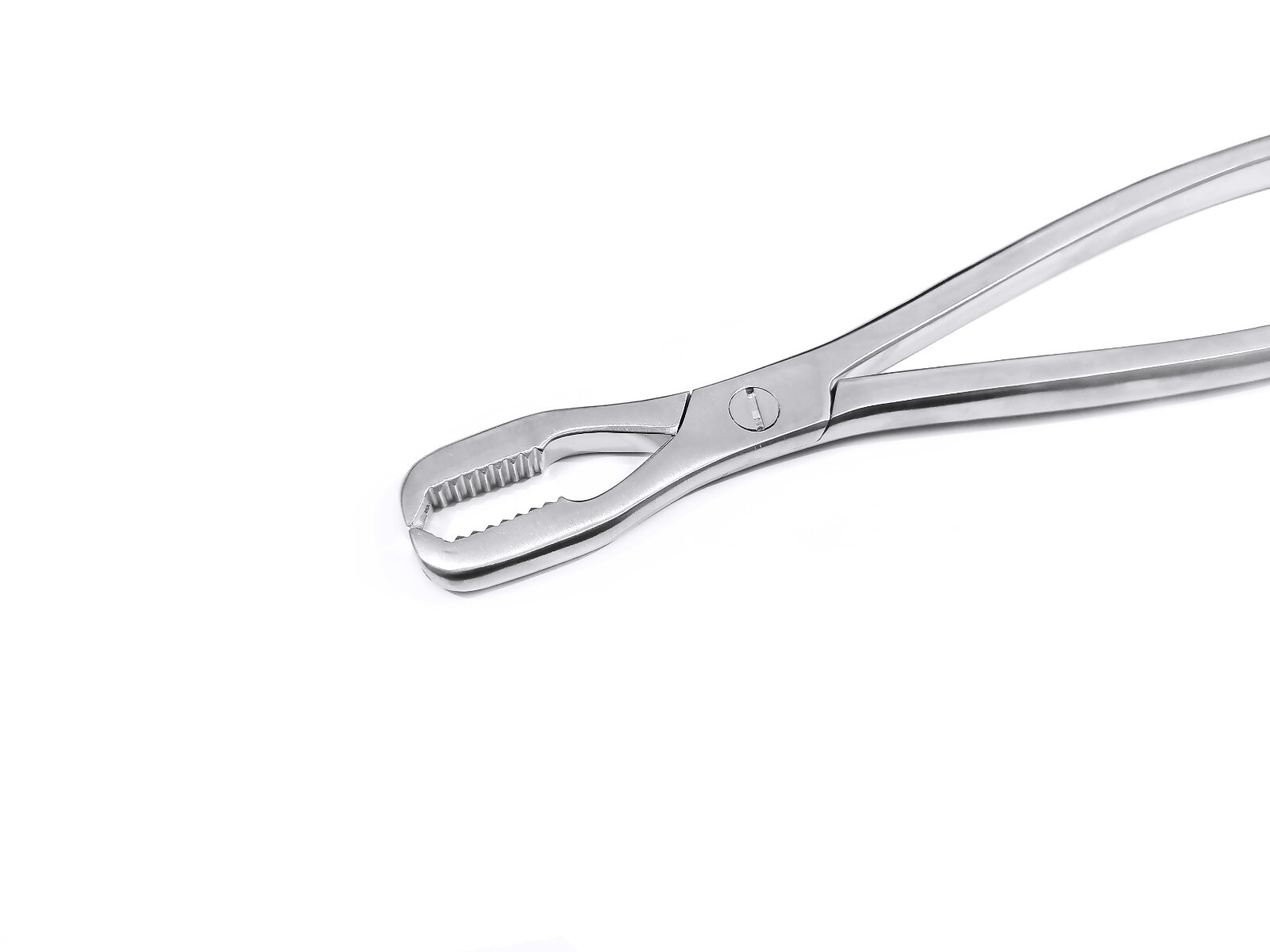 Lane bone holding forcep 10 inch veterinary surgical instrument