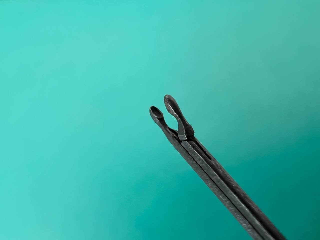 Richards 131219 Ebony cupped ear forceps, ENT