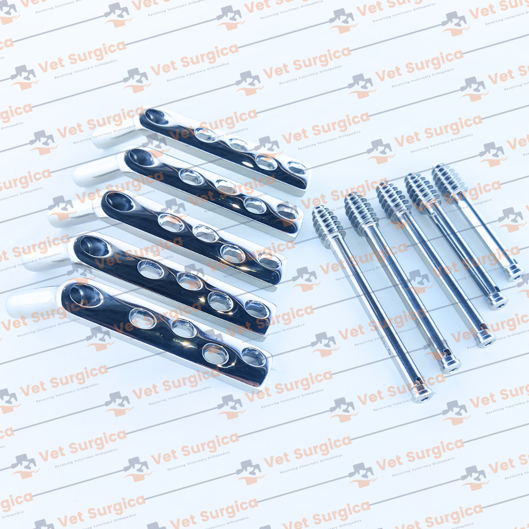 DHS 4.5mm DCP Plates 135° 4 Holes with Lag Screws 80mm to 100mm 10 Pcs Set SS