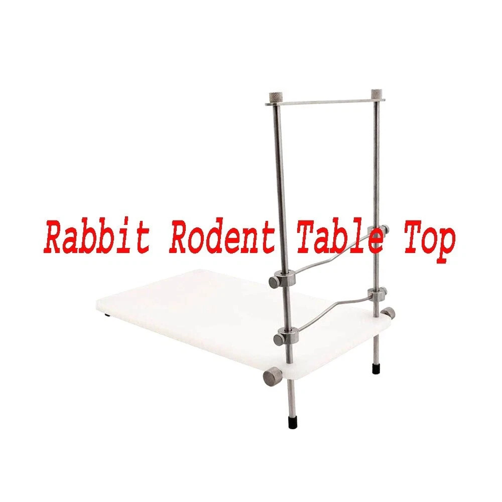 Rabbit Rodent Table Top Mouth Gag Veterinary small Animal Speculum instrument