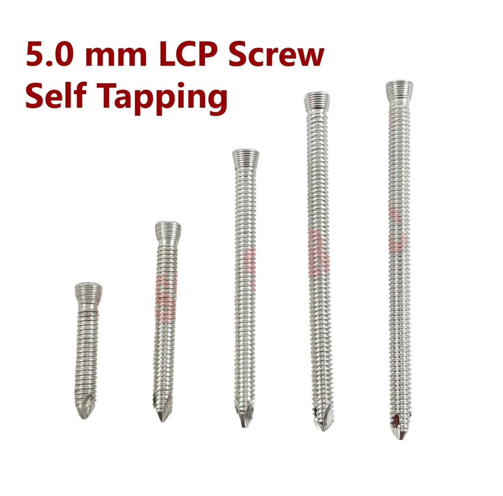 5.0mm LCP Screw lot of 100 pcs veterinary