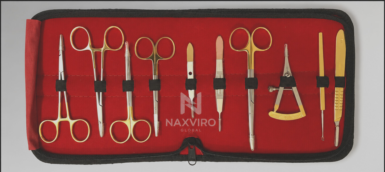 Blepharoplasty Kit,Plastic Surgery High Quality Instruments Kit Set of 10 PCS