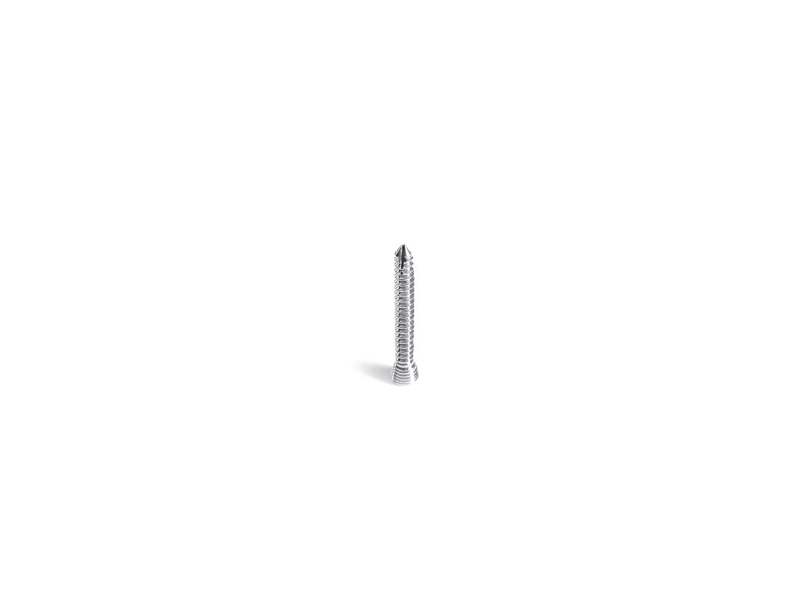 2.4mm LCP Screw lot of 100 pcs veterinary instruments